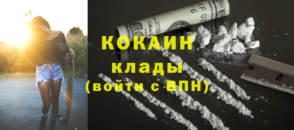 твердый Алексин