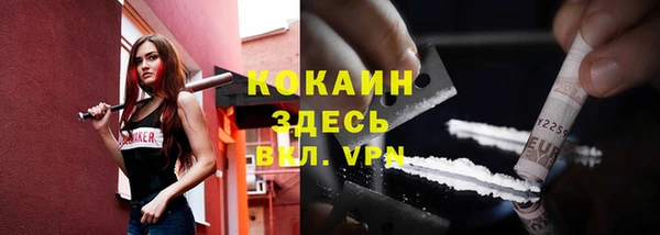 твердый Алексин
