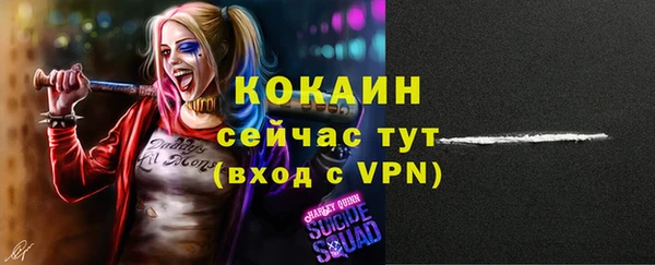 твердый Алексин