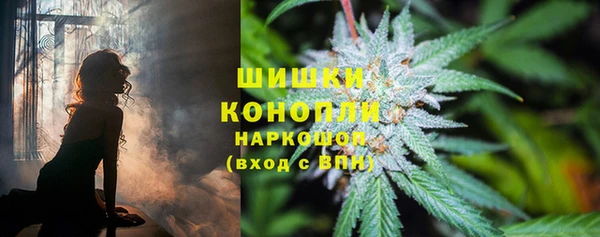 дурь Алзамай