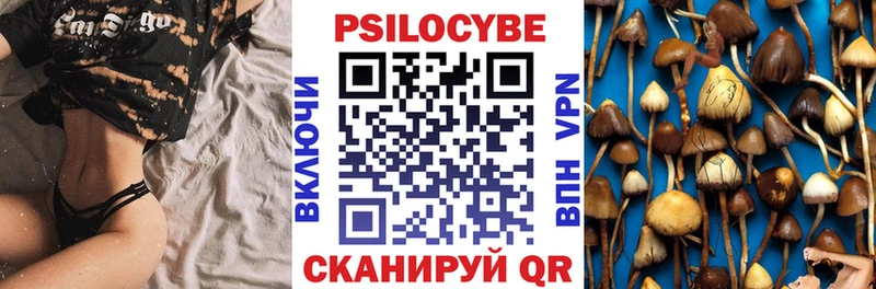 Галлюциногенные грибы MAGIC MUSHROOMS  Берёзовский 